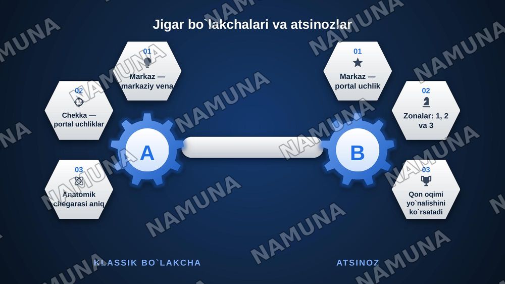 Jigar meda osti bezi gistologiyasi — zamonaviy taqdimot, 5-slayd