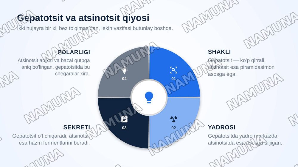 Jigar meda osti bezi gistologiyasi — zamonaviy taqdimot, 8-slayd