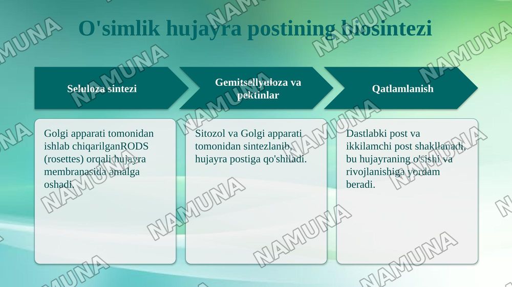 Hujayra postining xosil boʻlishi va tuzilishi — taqdimot, 5-slayd