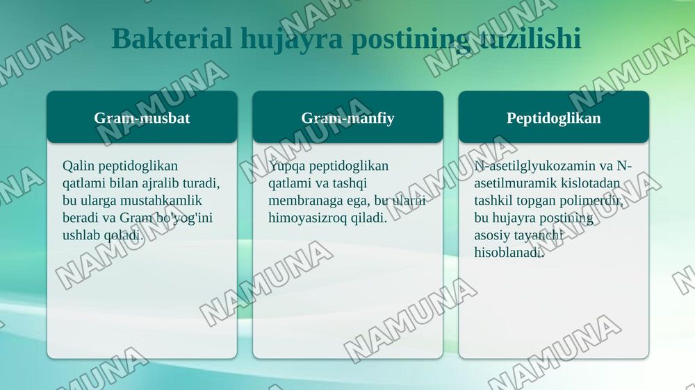Hujayra postining xosil boʻlishi va tuzilishi — taqdimot, 7-slayd