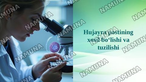 Hujayra postining xosil boʻlishi va tuzilishi — taqdimot