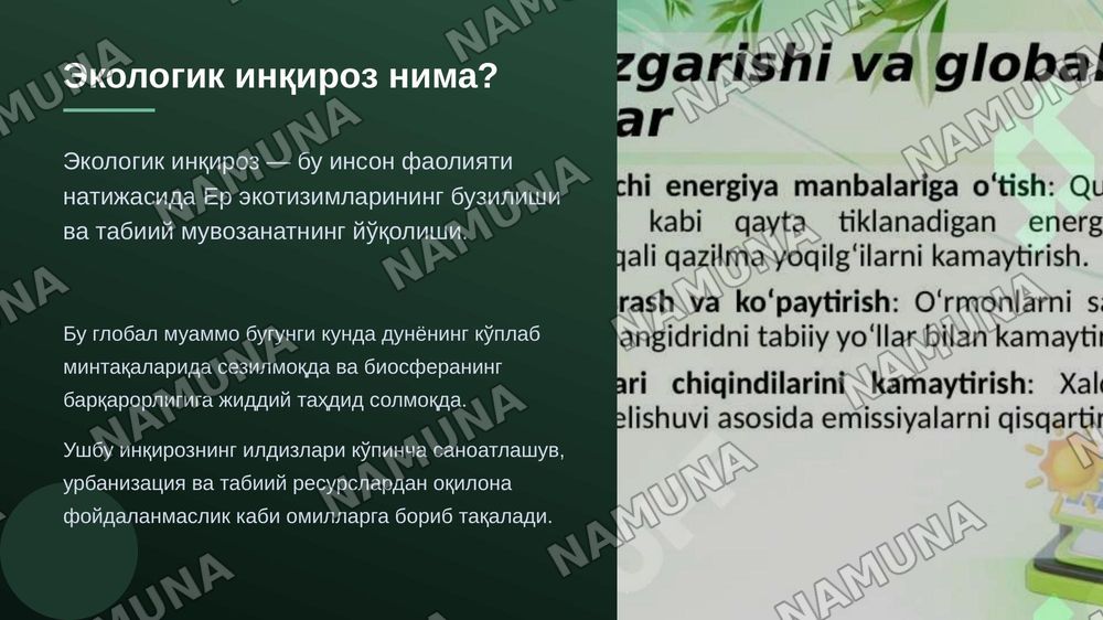 Ekologik inqirozning asosiy sabablari — zamonaviy taqdimot, 3-slayd