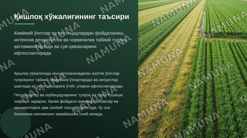 Ekologik inqirozning asosiy sabablari — zamonaviy taqdimot, 5-slayd