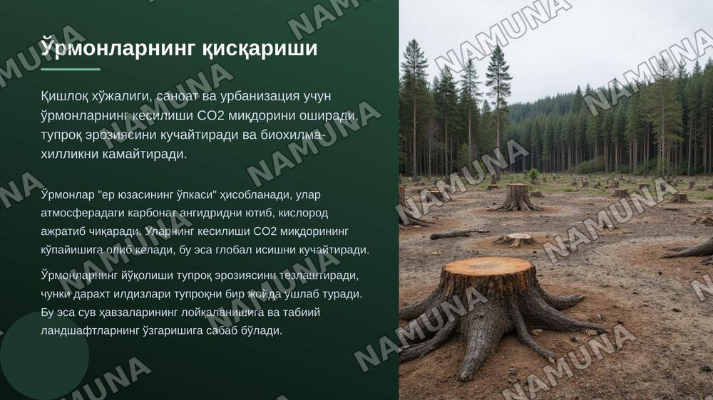 Ekologik inqirozning asosiy sabablari — zamonaviy taqdimot, 6-slayd