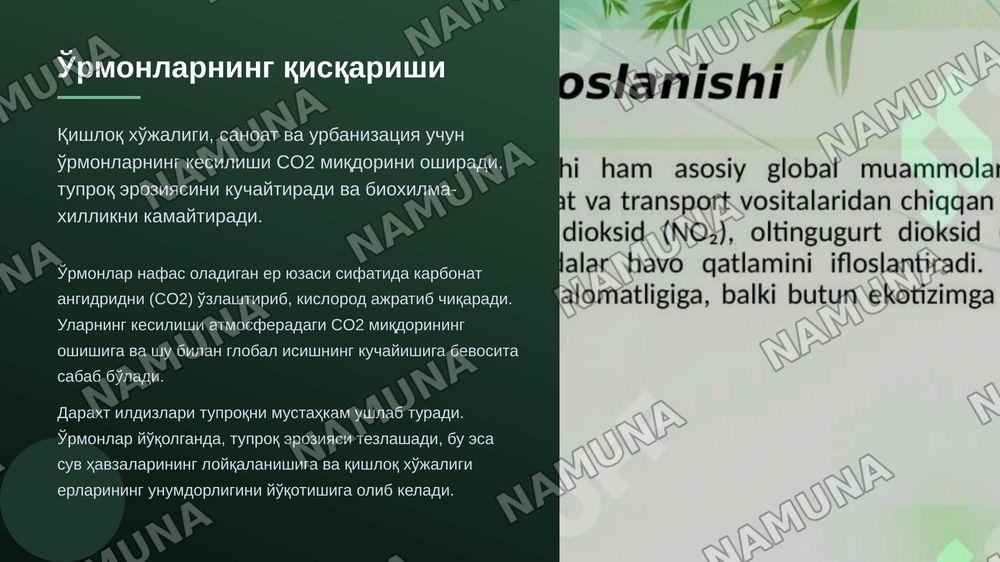 Ekologik inqirozning asosiy sabablari — zamonaviy taqdimot, 7-slayd