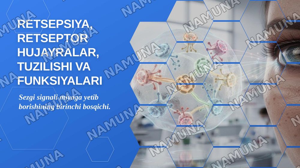 Retsepsiya, retseptor hujayralar, tuzilishi va funksiyalari. — zamonaviy taqdimot, 1-slayd