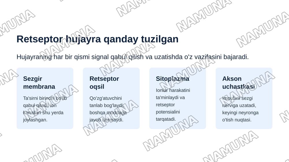 Retsepsiya, retseptor hujayralar, tuzilishi va funksiyalari. — zamonaviy taqdimot, 6-slayd