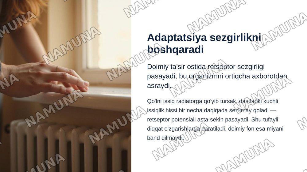 Retsepsiya, retseptor hujayralar, tuzilishi va funksiyalari. — zamonaviy taqdimot, 8-slayd