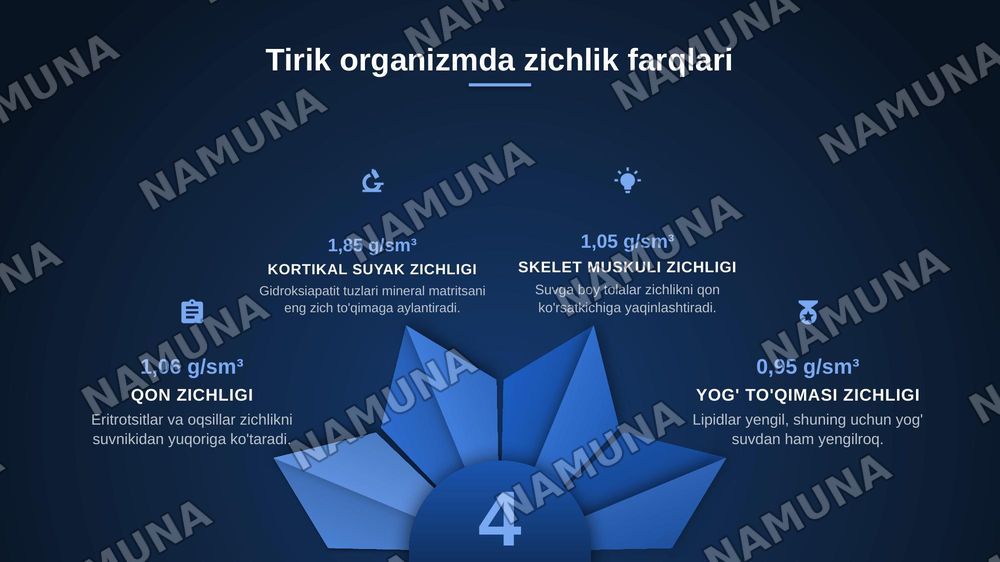 Organizm to‘qimalarini va suyuq muhitlarini zichligini aniqlash — zamonaviy taqdimot, 4-slayd