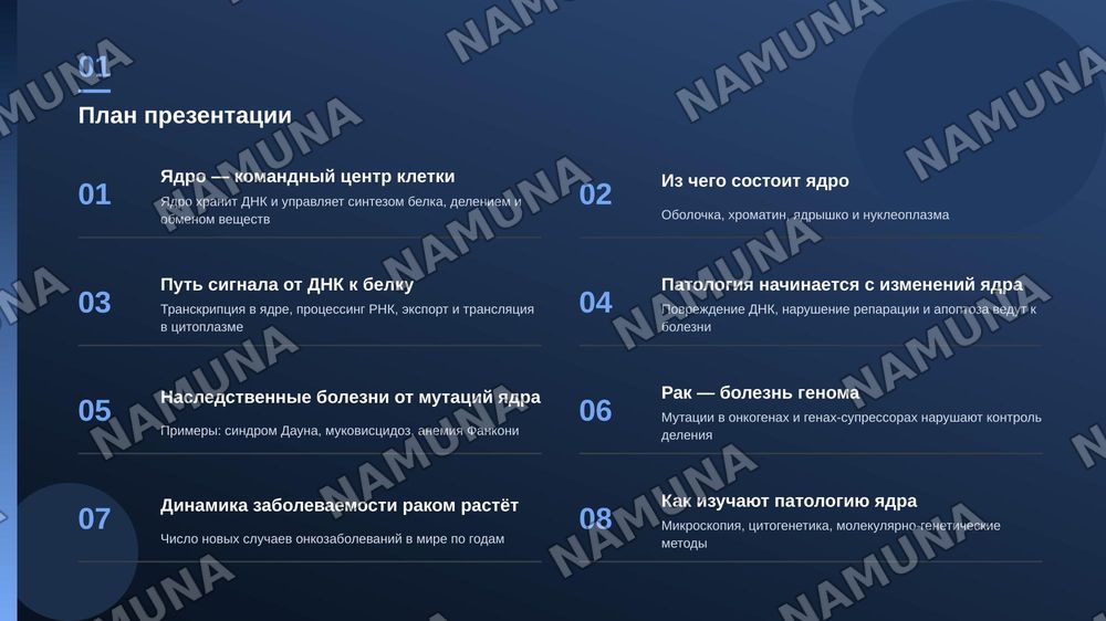Ядро клетки. Патологические изменения, связанные со структурой, 
       функциями, ядром. — zamonaviy taqdimot, 2-slayd