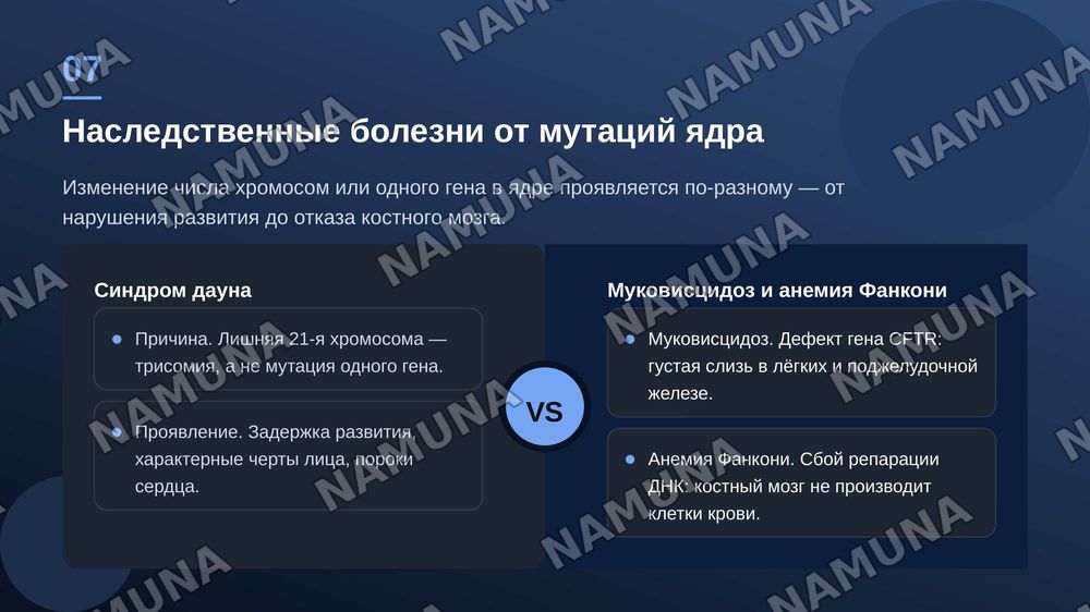 Ядро клетки. Патологические изменения, связанные со структурой, 
       функциями, ядром. — zamonaviy taqdimot, 8-slayd