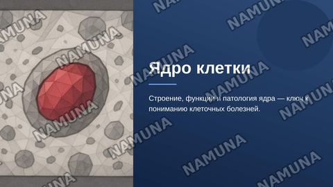 Ядро клетки. Патологические изменения, связанные со структурой,
функциями, ядром. — zamonaviy taqdimot