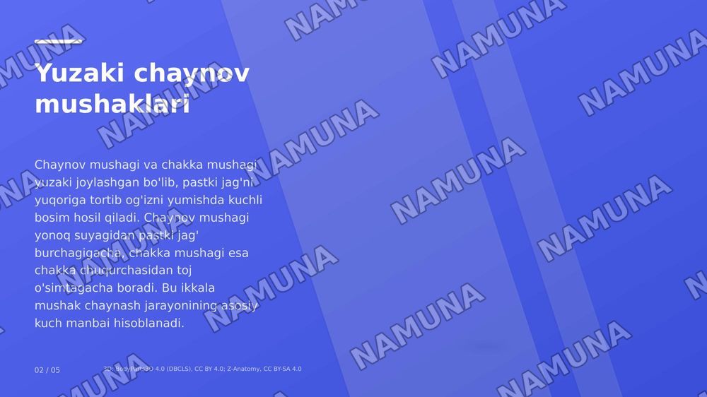 jag' muskullari — zamonaviy taqdimot, 2-slayd
