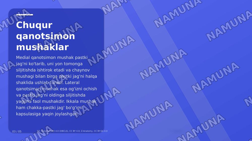 jag' muskullari — zamonaviy taqdimot, 4-slayd