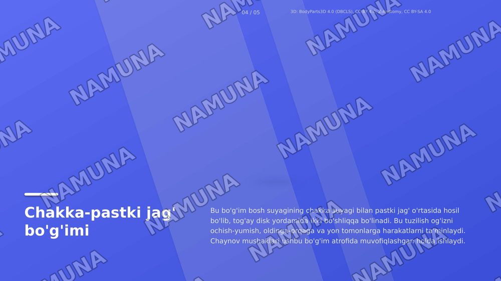 jag' muskullari — zamonaviy taqdimot, 6-slayd