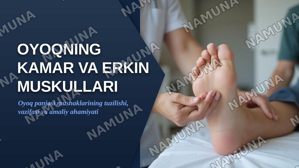 Oyoqning kamar va erkin muskullari — zamonaviy taqdimot, 1-slayd