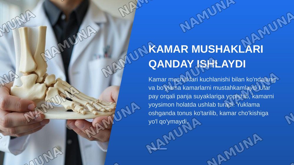 Oyoqning kamar va erkin muskullari — zamonaviy taqdimot, 5-slayd