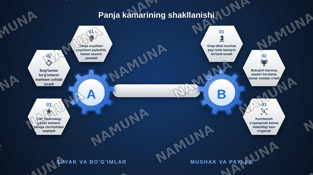 Oyoqning kamar va erkin muskullari — zamonaviy taqdimot, 8-slayd