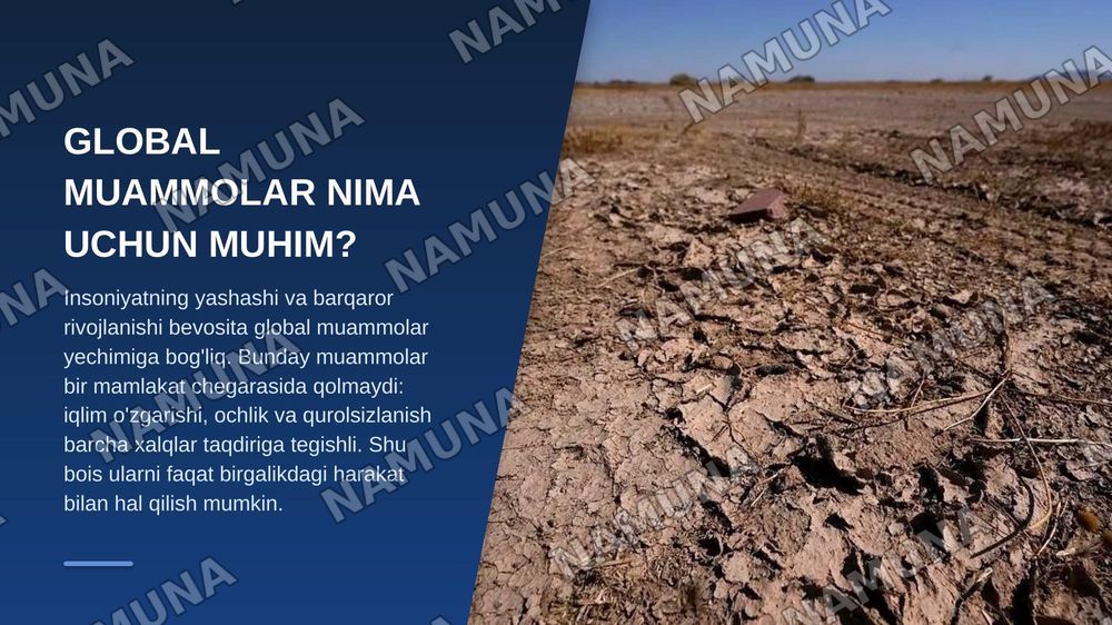 Global muammolarning mezonlari va darajalari — zamonaviy taqdimot, 3-slayd
