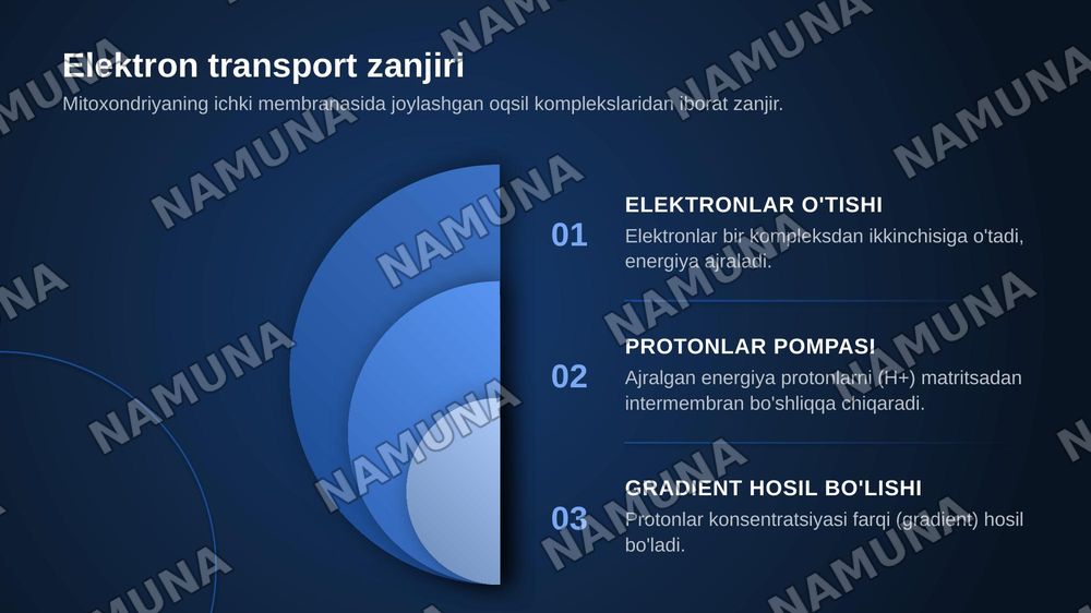 Biologik oksidlanish. Oksidlanish bilan boruychi fosforillanish va biologik oksidlanishning boshqarilishi. — zamonaviy taqdimot, 5-slayd