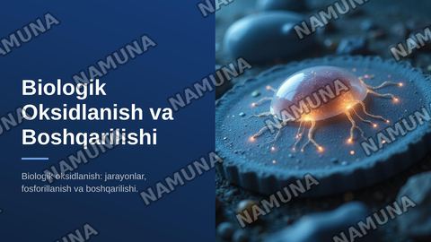 Biologik oksidlanish. Oksidlanish bilan boruychi fosforillanish va biologik oksidlanishning boshqarilishi. — zamonaviy taqdimot