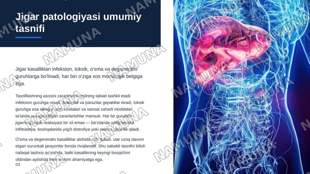 Jigar va o’t yo’llari patologiyasi. Jigar kasalliklari hagida umumiy ma’lumotiar.
Infeksion kasalliklar (virusli, bakterial, parazitar gepatitlar). Jigamni toksik va dori vositalari ta’sirida zararlanishi. Jigar o’smalari. Jigar sirrozlari, turlari morfologik xususiyatlari. — zamonaviy taqdimot, 4-slayd