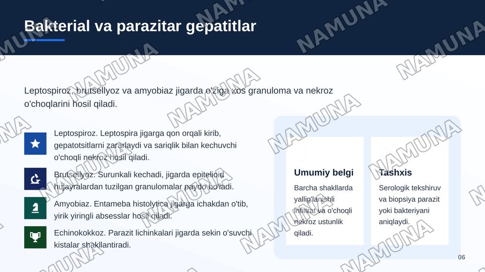 Jigar va o’t yo’llari patologiyasi. Jigar kasalliklari hagida umumiy ma’lumotiar.
Infeksion kasalliklar (virusli, bakterial, parazitar gepatitlar). Jigamni toksik va dori vositalari ta’sirida zararlanishi. Jigar o’smalari. Jigar sirrozlari, turlari morfologik xususiyatlari. — zamonaviy taqdimot, 7-slayd