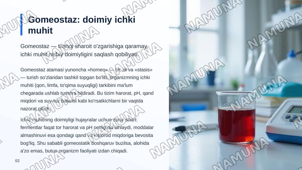 Gomeostaz va uning turlari — zamonaviy taqdimot, 3-slayd
