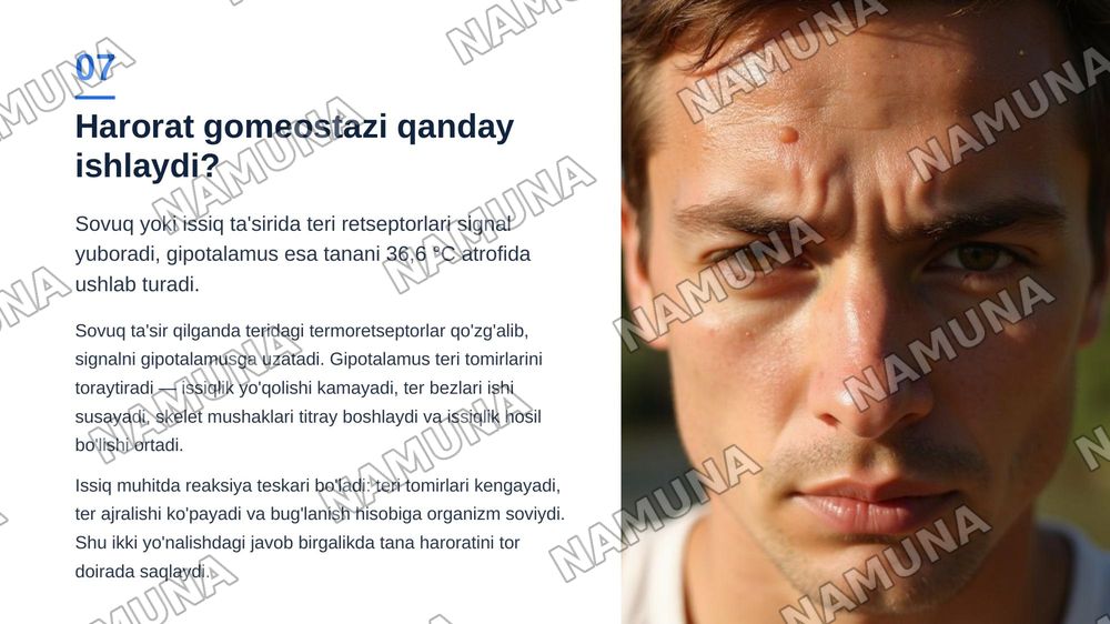 Gomeostaz va uning turlari — zamonaviy taqdimot, 8-slayd