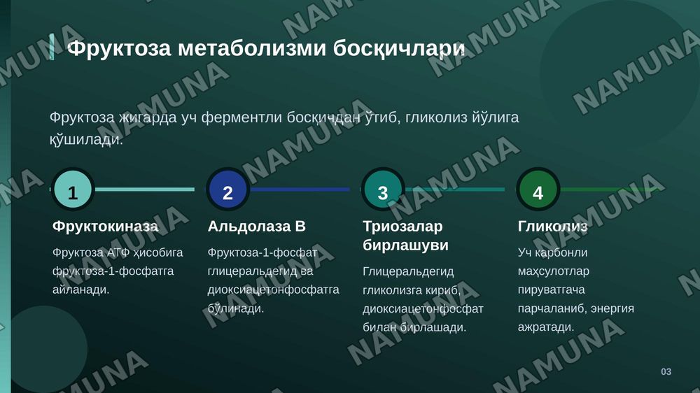 Fruktoza va galaktoza almashinuvi. Glyukoza gomeostazi, boshqarilishi. Laboratoriya ishi. — zamonaviy taqdimot, 4-slayd