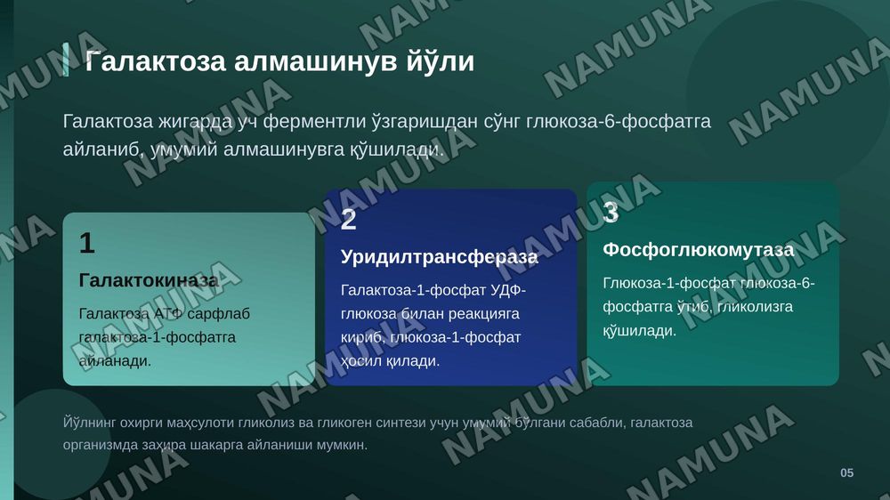 Fruktoza va galaktoza almashinuvi. Glyukoza gomeostazi, boshqarilishi. Laboratoriya ishi. — zamonaviy taqdimot, 6-slayd