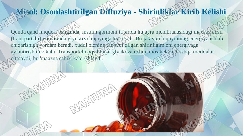 Membranalarning umumiy xususiyatlari: ko'ndalang assimetriya, suyuqlik holati va moddalarning membranadan o'tkazilishi — taqdimot, 7-slayd