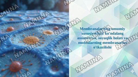 Membranalarning umumiy xususiyatlari: ko'ndalang assimetriya, suyuqlik holati va moddalarning membranadan o'tkazilishi — taqdimot