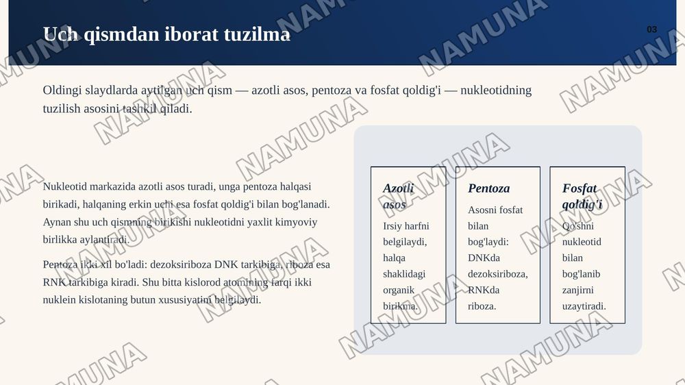 Nukleotidlar — zamonaviy taqdimot, 4-slayd