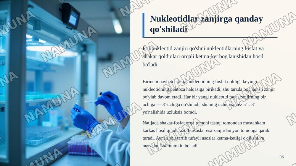 Nukleotidlar — zamonaviy taqdimot, 6-slayd