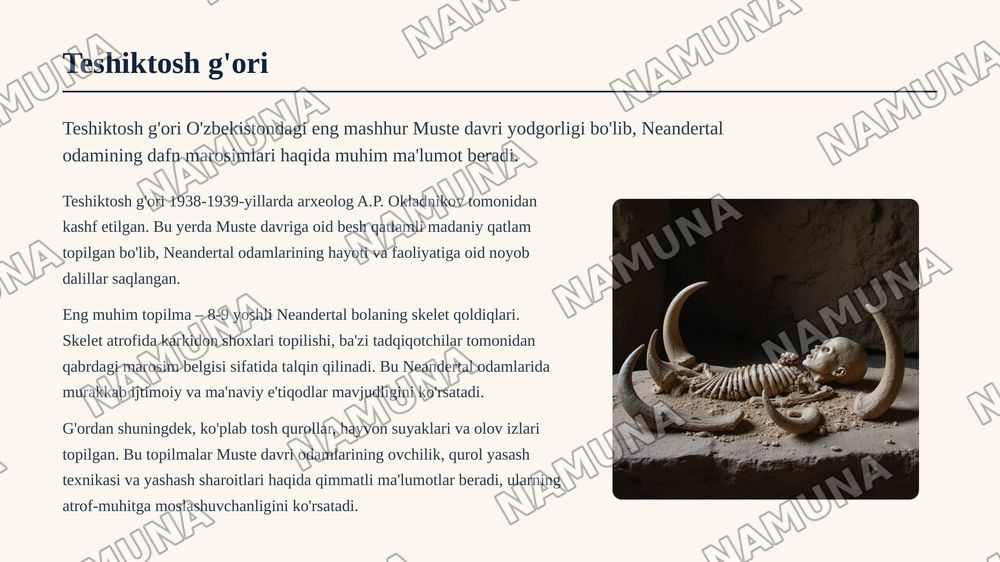 Muste davri arxeologik yodgorliklari — zamonaviy taqdimot, 6-slayd