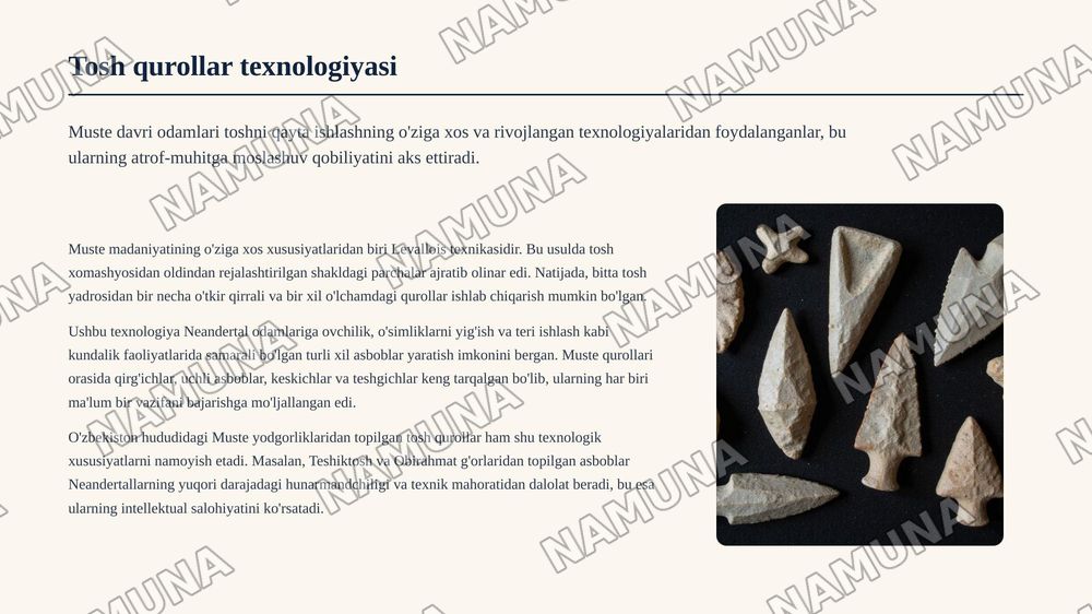 Muste davri arxeologik yodgorliklari — zamonaviy taqdimot, 8-slayd