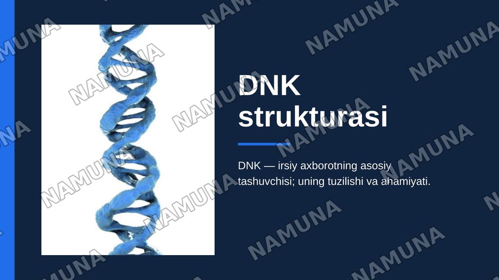 DNK sturukturasi — zamonaviy taqdimot, 1-slayd
