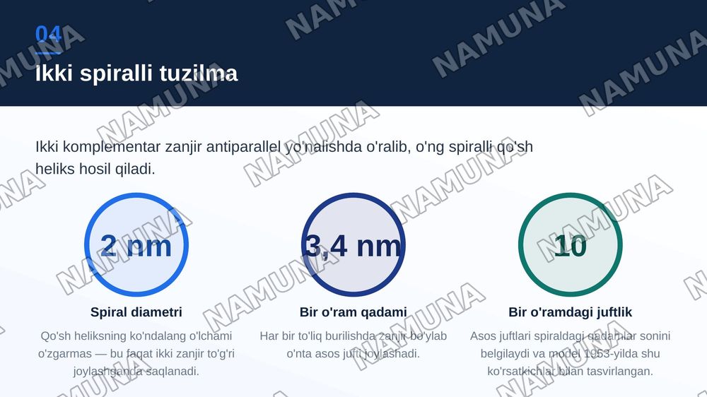 DNK sturukturasi — zamonaviy taqdimot, 5-slayd