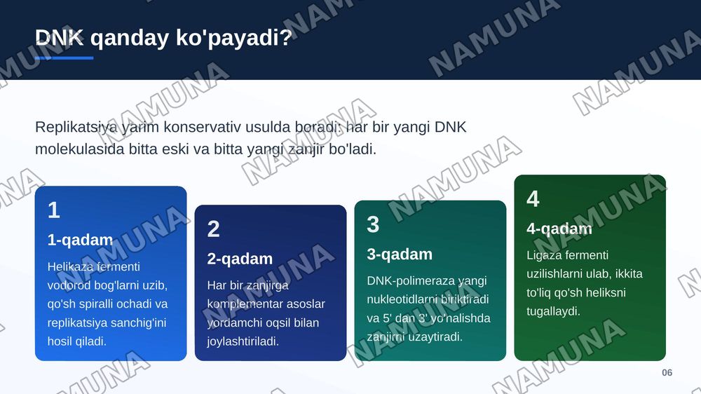 DNK sturukturasi — zamonaviy taqdimot, 7-slayd