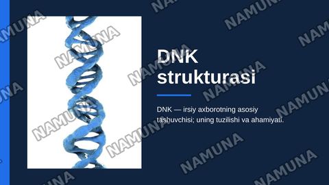 DNK sturukturasi — zamonaviy taqdimot
