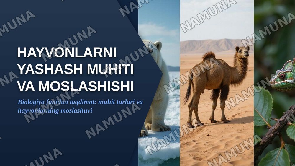 Hayvonlarni yashash muhiti va moslashishi — zamonaviy taqdimot, 1-slayd