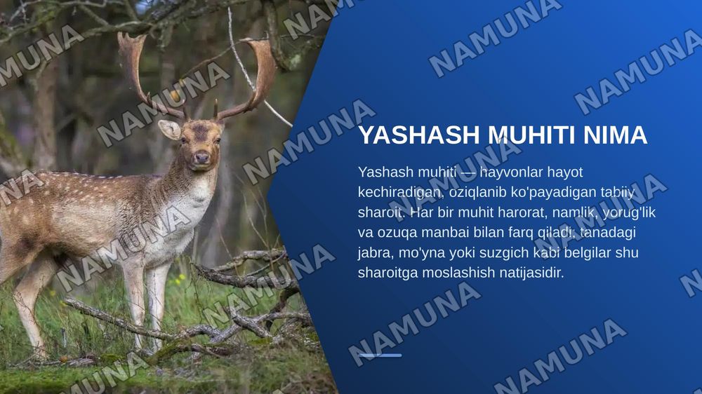 Hayvonlarni yashash muhiti va moslashishi — zamonaviy taqdimot, 3-slayd