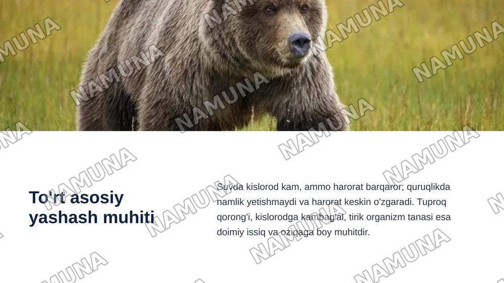 Hayvonlarni yashash muhiti va moslashishi — zamonaviy taqdimot, 4-slayd