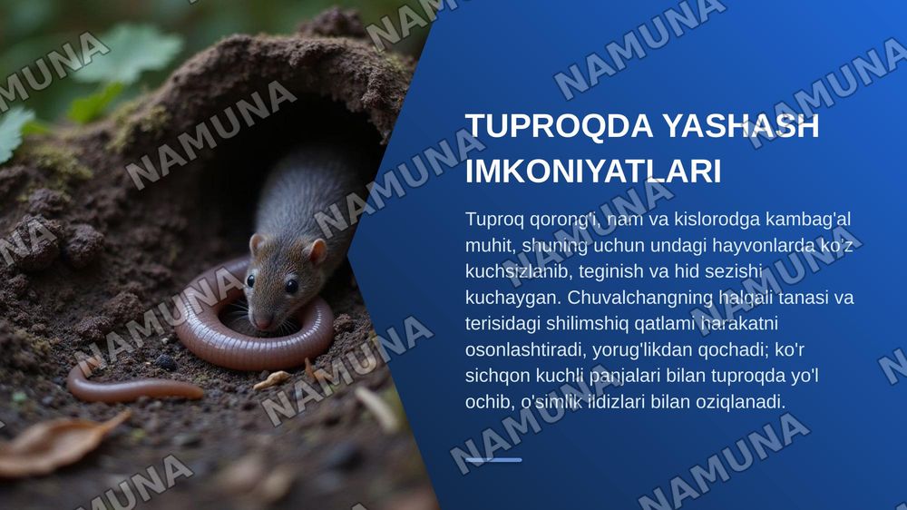 Hayvonlarni yashash muhiti va moslashishi — zamonaviy taqdimot, 8-slayd