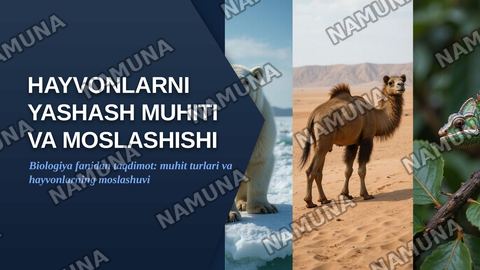 Hayvonlarni yashash muhiti va moslashishi — zamonaviy taqdimot