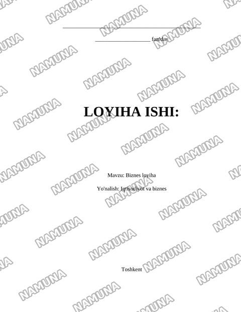 Biznes loyiha — loyiha ishi
