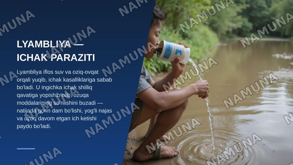 Xivchinlilar- odam parazitlari: tripanasoma, leyshmaniya, trixomanada va lyambliya — zamonaviy taqdimot, 8-slayd