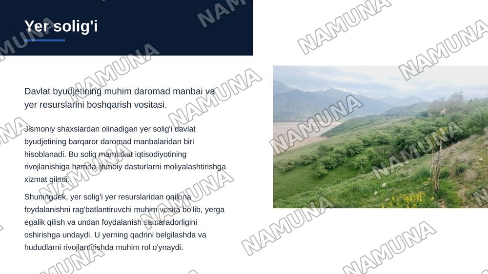 jismoniy shaxslardan olinadigan yer soligi:soliqni hisoblab chiqarish va tolash tartibi — zamonaviy taqdimot, 3-slayd