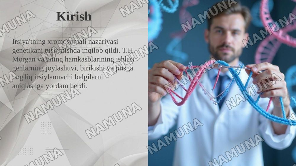 T.G.MORGANNING IRSIYATNING XROMOSOMA NAZARIYASI. GENLARNING BIRIKISH HODISASI, KROSSINGOVER. BELGILARNING JINSGA BIRIKKAN HOLDA IRSIYLANISHI. — taqdimot, 3-slayd